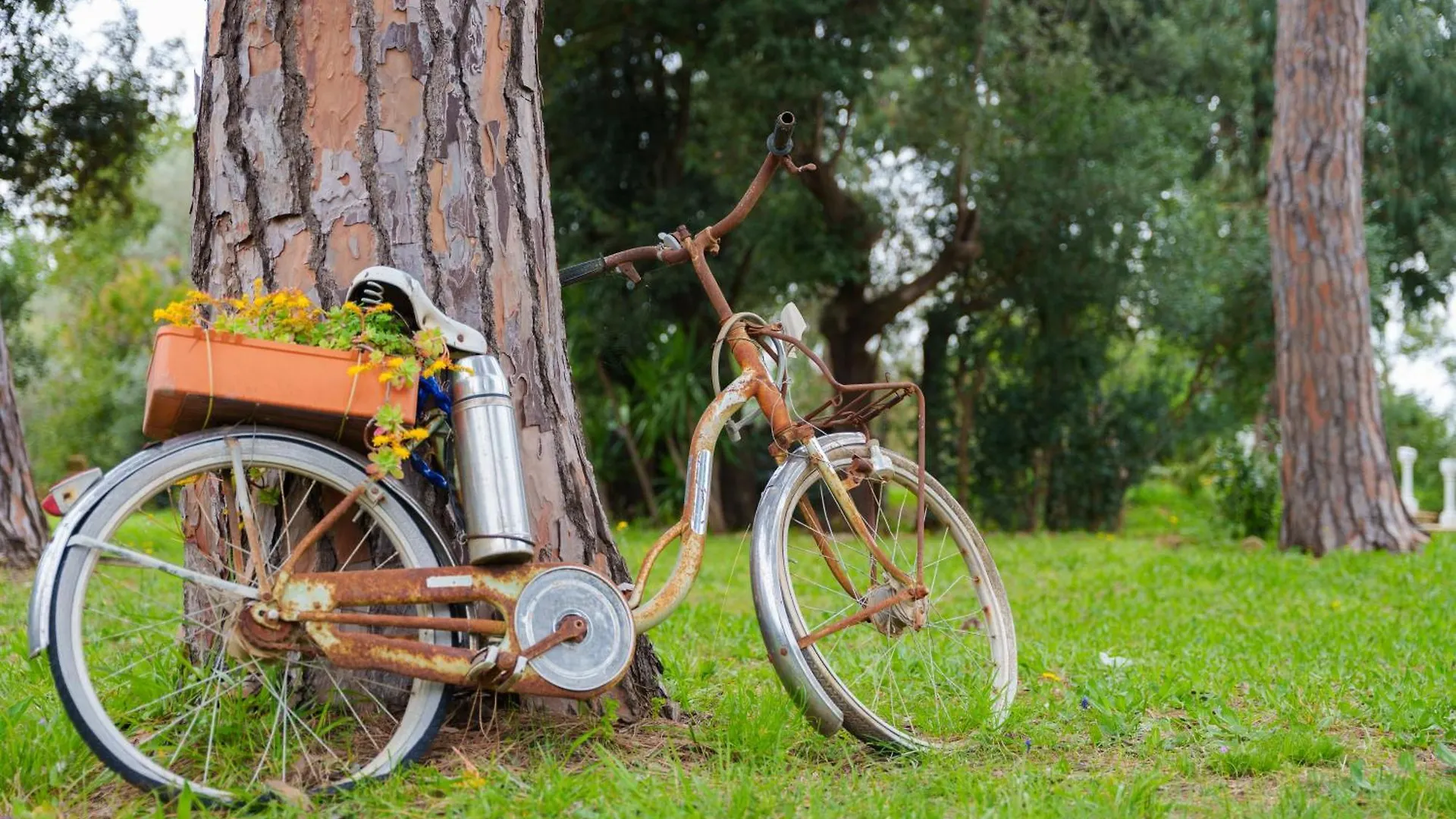 Relais Villa Rizzi Cecina  Bed & Breakfast